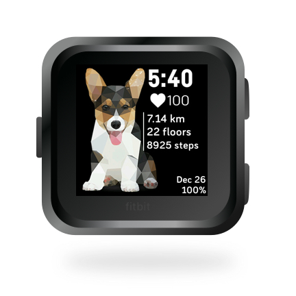 Corgi Classic